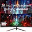 Image result for Widescreen Gaming Monitor