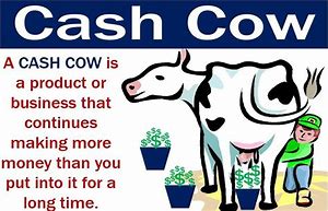 cash cows 的图像结果