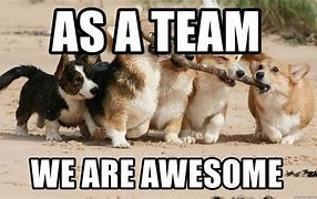 Image result for This Team Is Awesome Meme