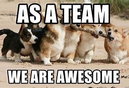 Image result for We Are Awesome Meme