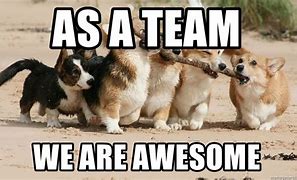 Image result for Proud of My Team Meme