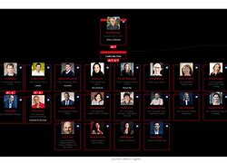 Image result for Netflix Organizational Chart