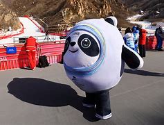 Image result for Beijing Winter Olympics and Türkiye
