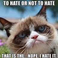 Image result for Grumpy Cat Memes