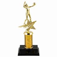 Image result for Volleyball Trophy