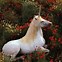 Image result for Pegasus Unicorn Are Real