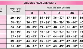 Image result for Bust Size Chart