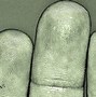 Image result for Five Fingerprint