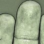 Image result for Three Fingerprint Types