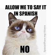 Image result for Funny Spanish Teacher Meme