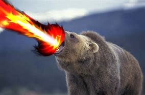 Image result for Bears with Laser Eyes