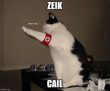 Image result for Cat Saalute Meme