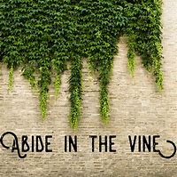 Image result for Vines and Verses