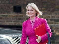 Image result for Liz Truss Background