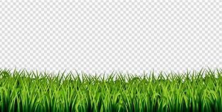 Image result for Grass Remove BG