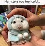 Image result for Really Funny Animal Memes