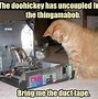 Image result for Cat Memes Clean