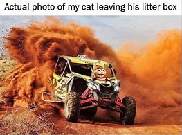 Image result for Cat Leaving Litter Box Meme