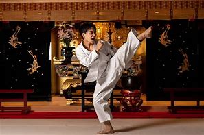 Image result for Karate Gi Art