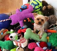 Image result for Top Dog Toys