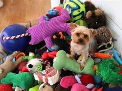 Image result for Best Dog Toys