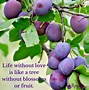 Image result for Purple Quotes
