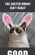 Image result for funny bunnies easter meme