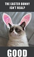 Image result for Easter Animal Meme