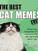 Image result for U Good Cat Template Meme