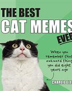 Image result for Kitty Cat Memes