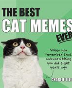 Image result for Big the Cat Meme