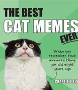 Image result for Jolene Cat Meme
