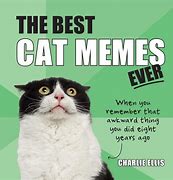 Image result for Positive Cat Memes