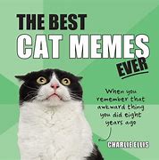 Image result for Doctor Cat Meme
