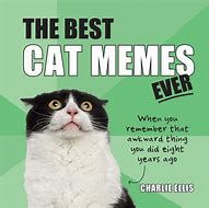 Image result for Cat Dinner Meme