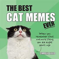 Image result for Feral Cat Meme
