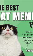 Image result for Arrogant Cat Meme
