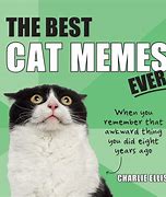Image result for Cat Meme HD