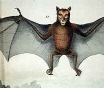 Image result for Flying Antique Bats