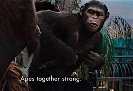 Image result for Apes Together Strong Dancing
