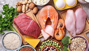 Image result for Things High in Protein