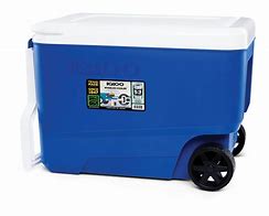 Image result for igloo coolers