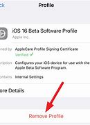 Image result for How to Remove Developer Beta From iPhone