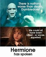 Image result for Harry Potter Memes Only True Fans Will Get