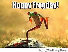 Image result for Friday Frog Meme