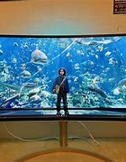 Image result for Curved Monitor 57" Wide