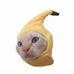 Image result for Banana Cat Funny