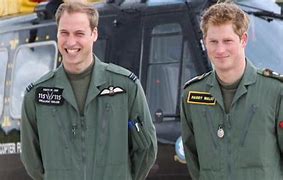 Image result for Prince Harry Package