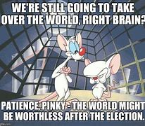 Image result for Pinky and the Brain Take Over the World Meme