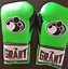 Image result for 10 Oz Pro Boxing Gloves